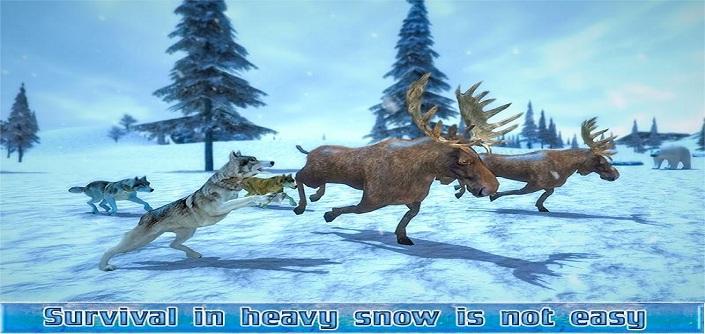 北极狼群3d内购破解版下载,北极狼群3d,模拟游戏,生存游戏